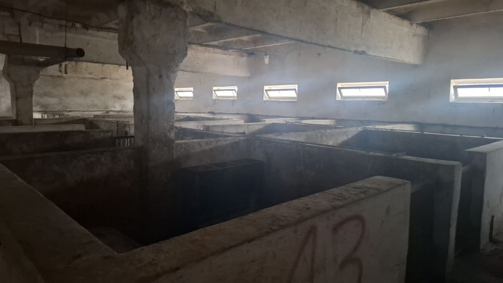 Продам  діючу ферму