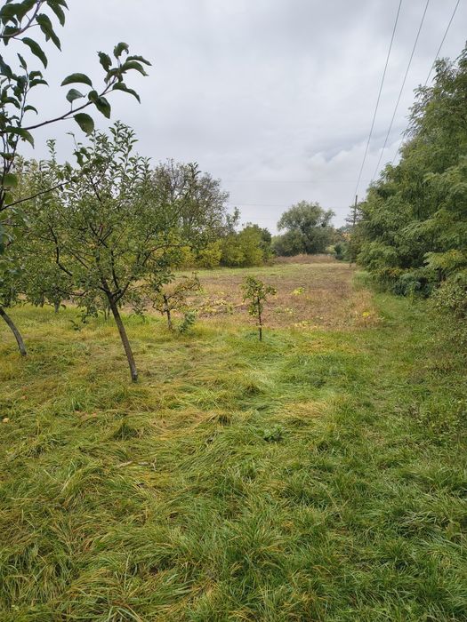 Продається земельна ділянка