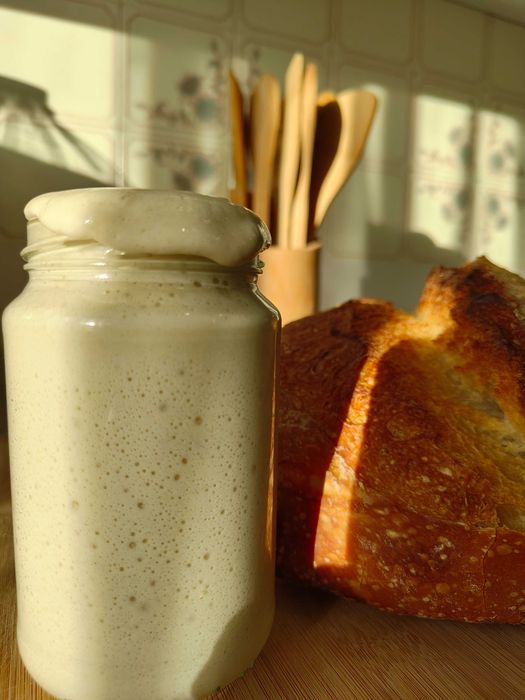Fermento natural (Levain)