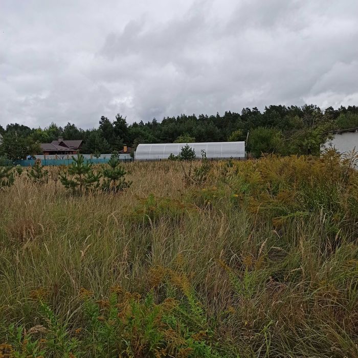 Терміново 18 соток будови СК Прогрес Нова Українка біля Піщаного озера