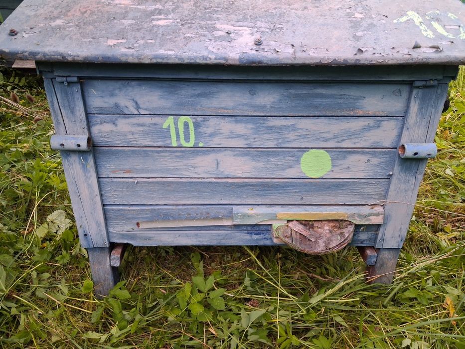 Ule wielkopolskie leżaki 18 ramkowe