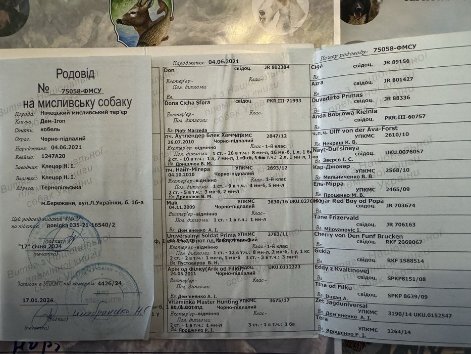 Пропоную Ягдтерєра для вʼязки