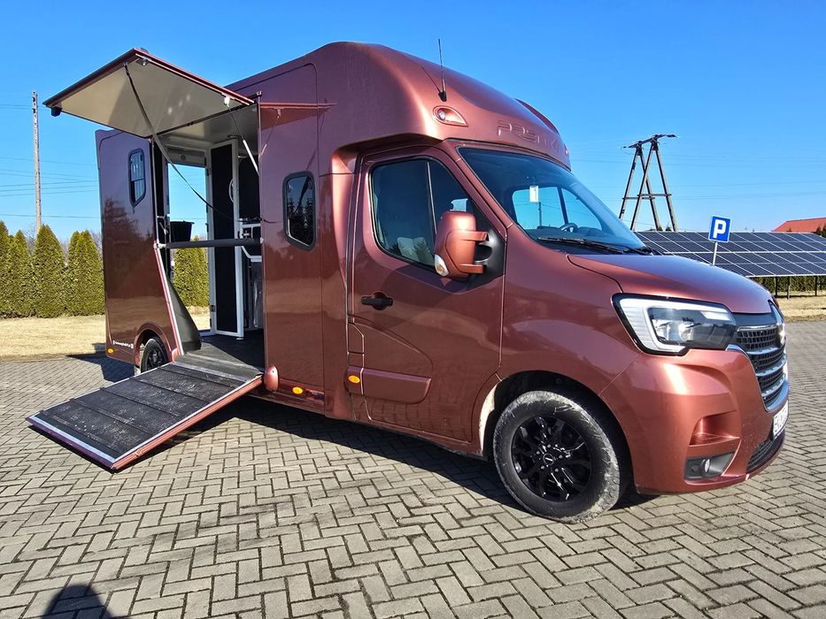Renault Master Koniowóz  Koniowóz. Nowa Zabudowa Ogierowa. 2 Stanowiska. ŚLICZNY !!!
