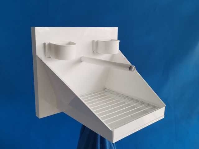 Roseicollis  selvagens,bebé, doméstiado