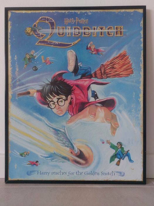 Harry potter quadro