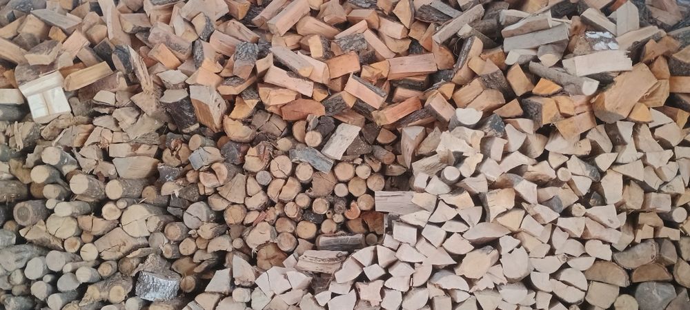 Olszyna dąb grab sucherabane