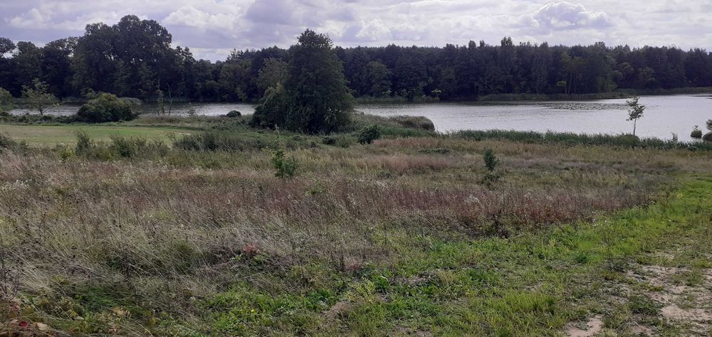 Działka rekreacyjna nad jeziorem (624 m2) piękny widok na rozlewisko, prąd, woda, Lubieniec okolice Chodcza