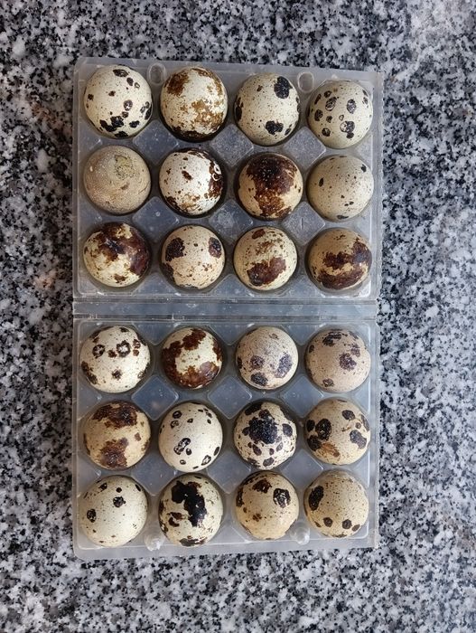Ovos de codorniz galados