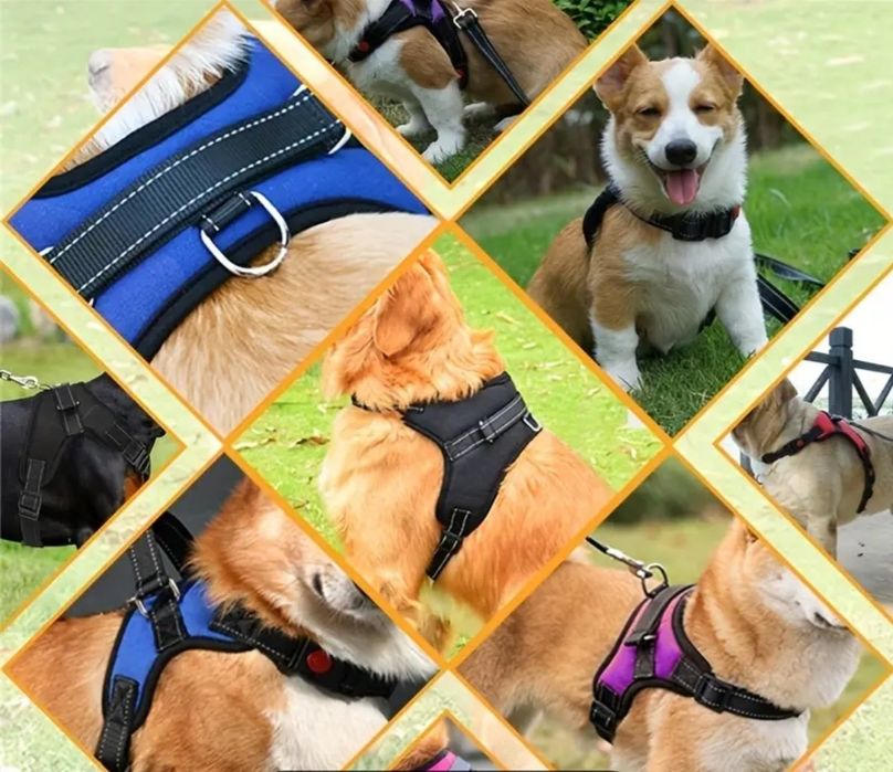 Arnes/peitoral para cão pequeno