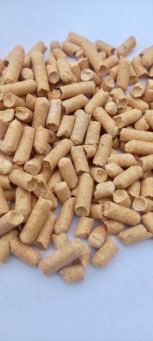 Pellet Forest Pro Jasny Sosnowy  -ENplus A1 - dostawa gratis*