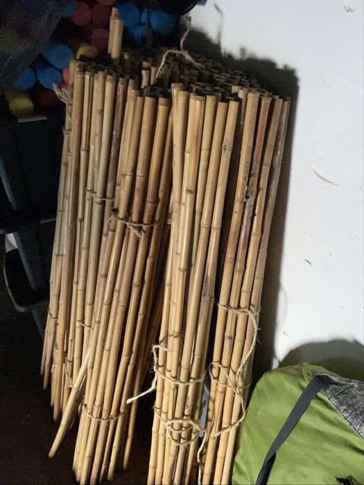 Bambu 100cm x 2 cm