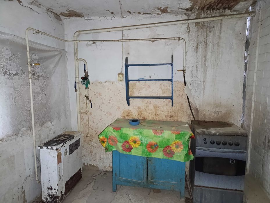 Продам будинок в с. Шевченкове, Черкаська область