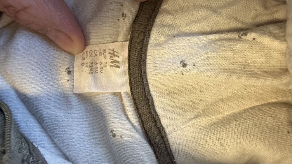 Тедді h&m 6-9 міс