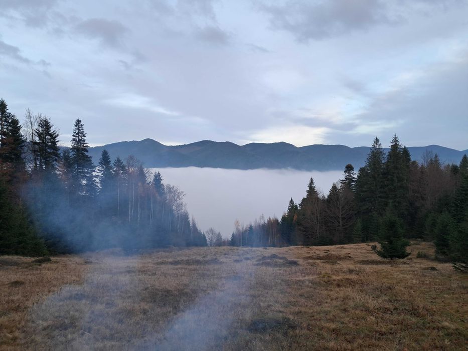 Коза  Івано Франківська обл.с. Татарів