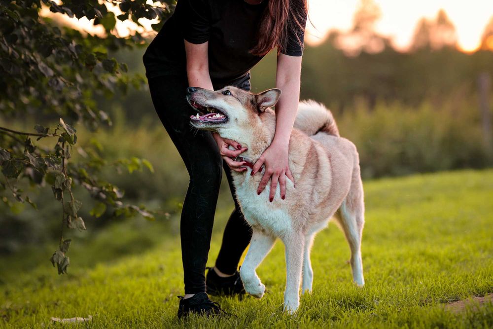 Logan poszukiwany nagroda 5000 zł