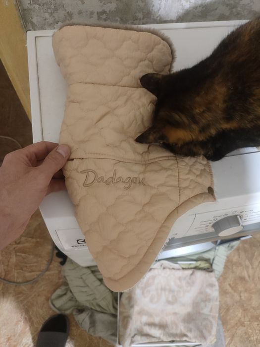 куртка для собачки