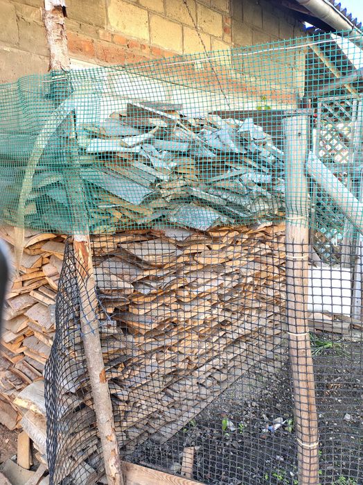 Drzewo sprzedam   pilnie