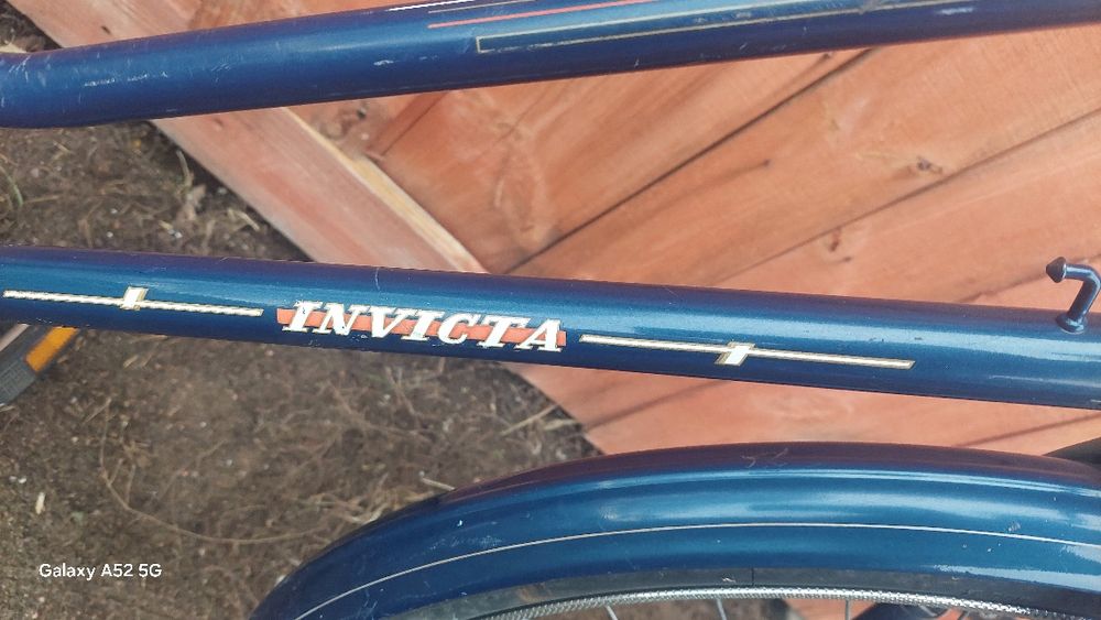 Rower Damka Holenderska