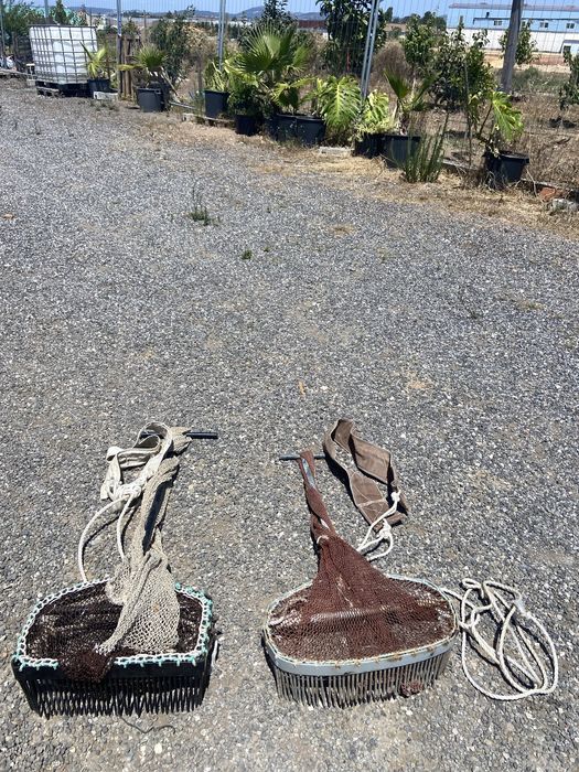 Ferramentas para Apanhar Amêijoas / Berbigão - Conjunto Pronto a Usar