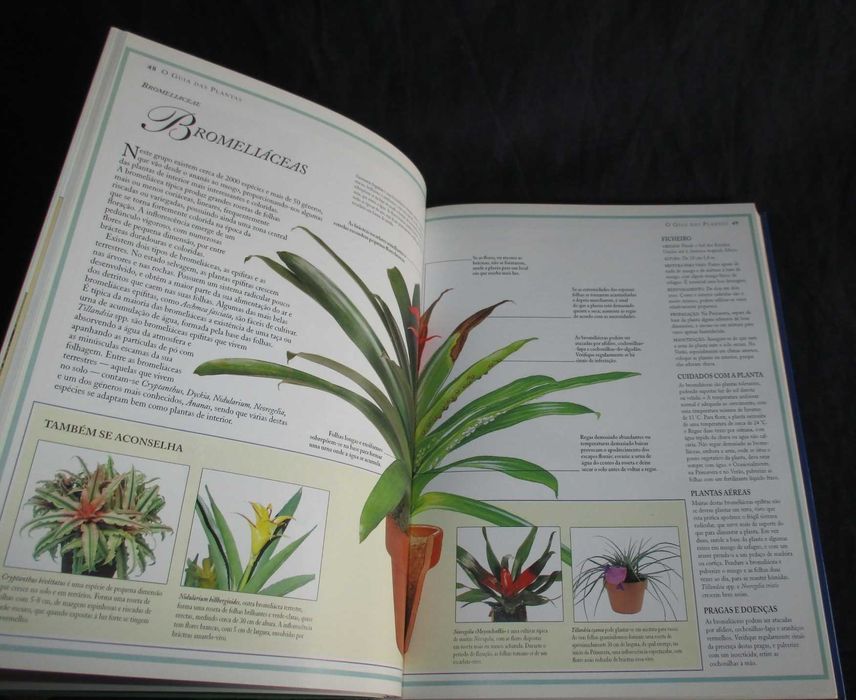 Livro O Grande Livro das Plantas de Interior Jane Courtier