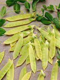 Semenes de Ervilha de vagem AMARELA gourmet