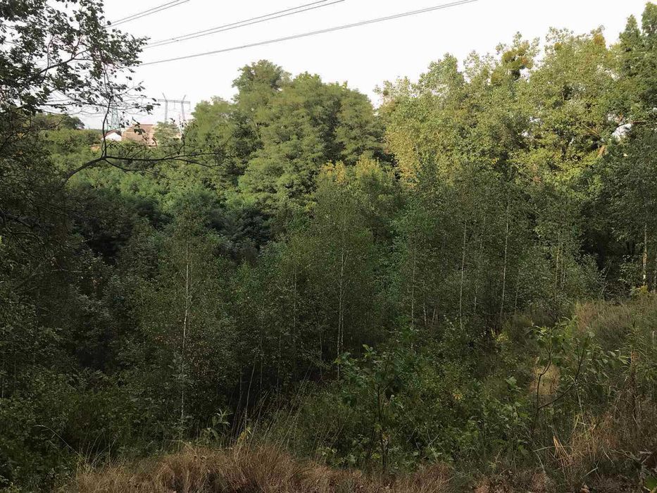 Продам власну земельну ділянку під будівництво 4 сотки. Крюківщина