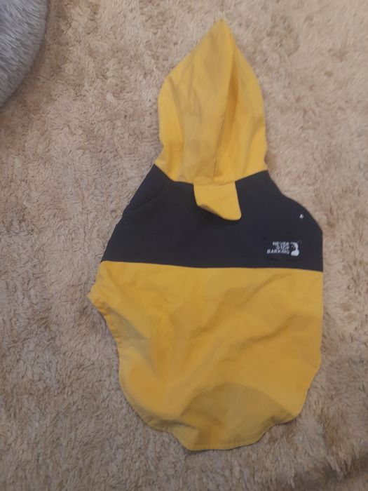 Casaco XL/ 35cm animal de estimação amarela e preto.