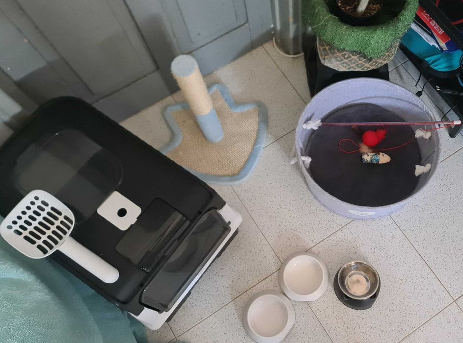 Kit Completo Gato 2 Caixas WC Acessorios Comida e Areia