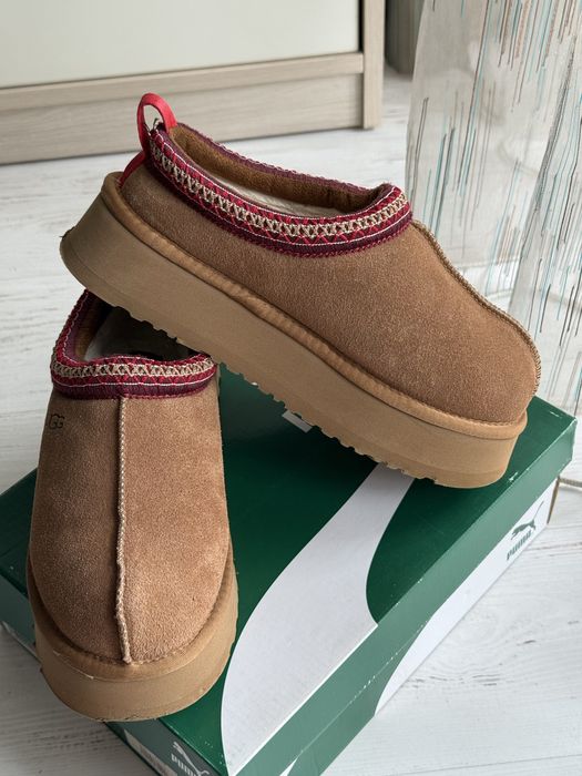 Ugg Tazz замшеві капці