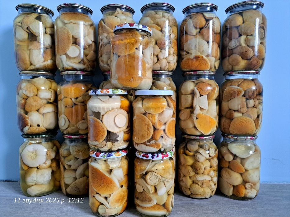 Мариновані білі гриби