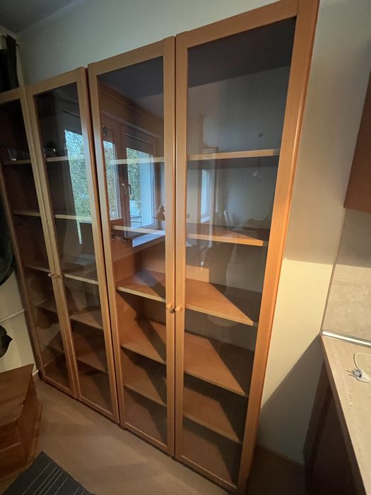 Regal ze szkalnymi drzwiami