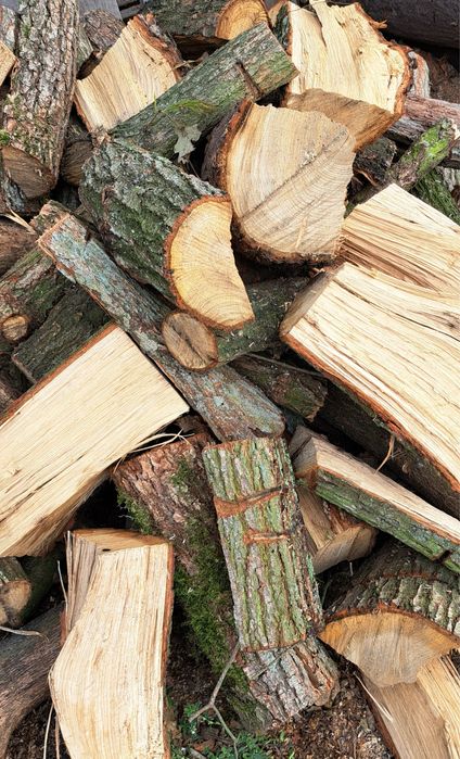 Drewno opałowe / kominkowe – suche, sezonowane – różne gatunki