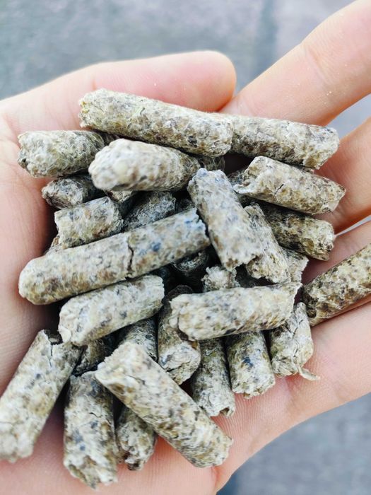 Wysłodki buraczane melasowane niemelasowane - cena brutto z  DOSTAWA