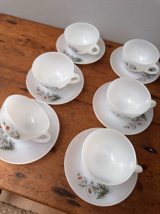 Vintage Conjunto 6 chavenas cafe Malmequer Arcopal