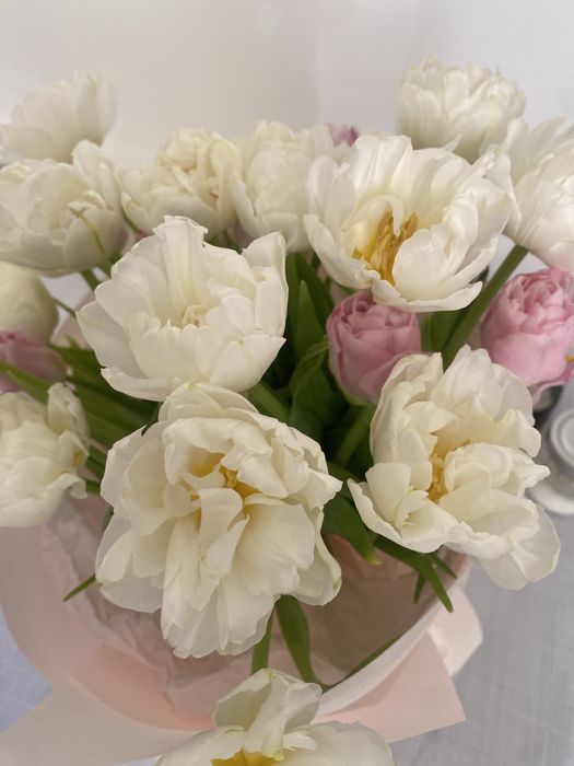 Фольксваген Поло 1,4 дизель