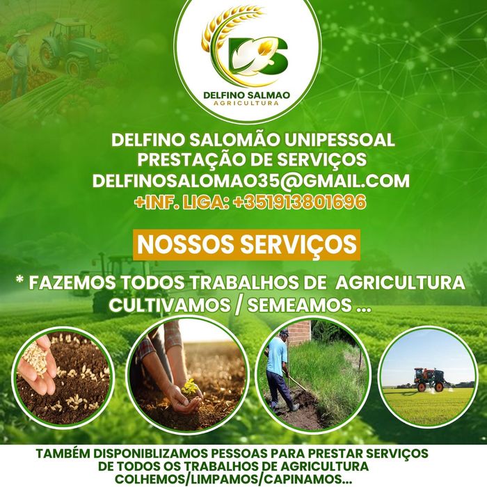 Prestamos serviço de Limpeza em todas arias