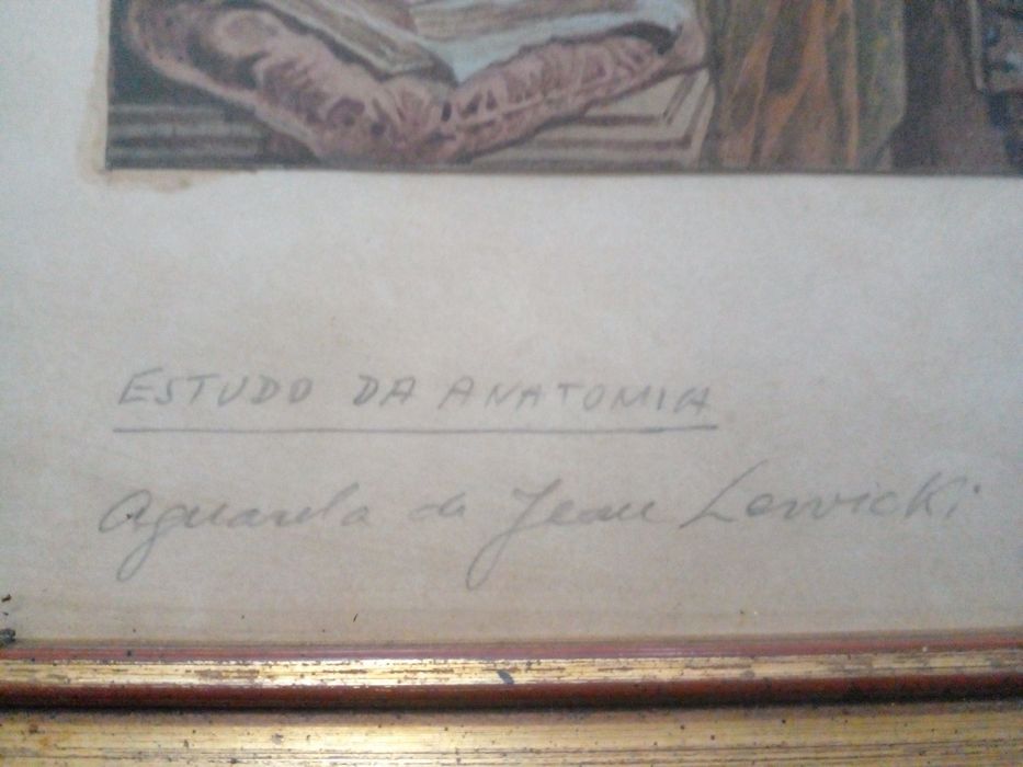Aguarela João Lewicki XIX