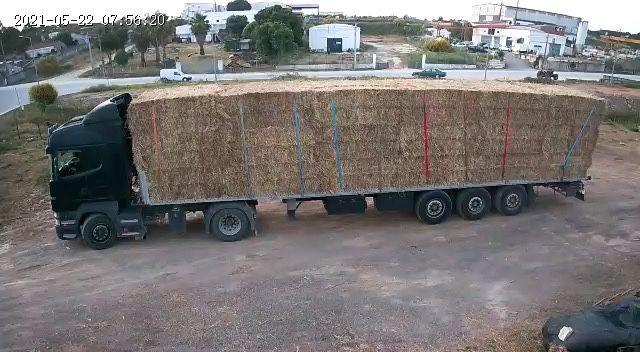 Fardos luzerna/Palha/feno