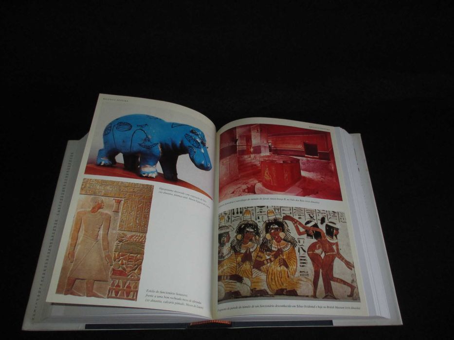 Livro Dicionário do Antigo Egipto Luís Manuel de Araújo