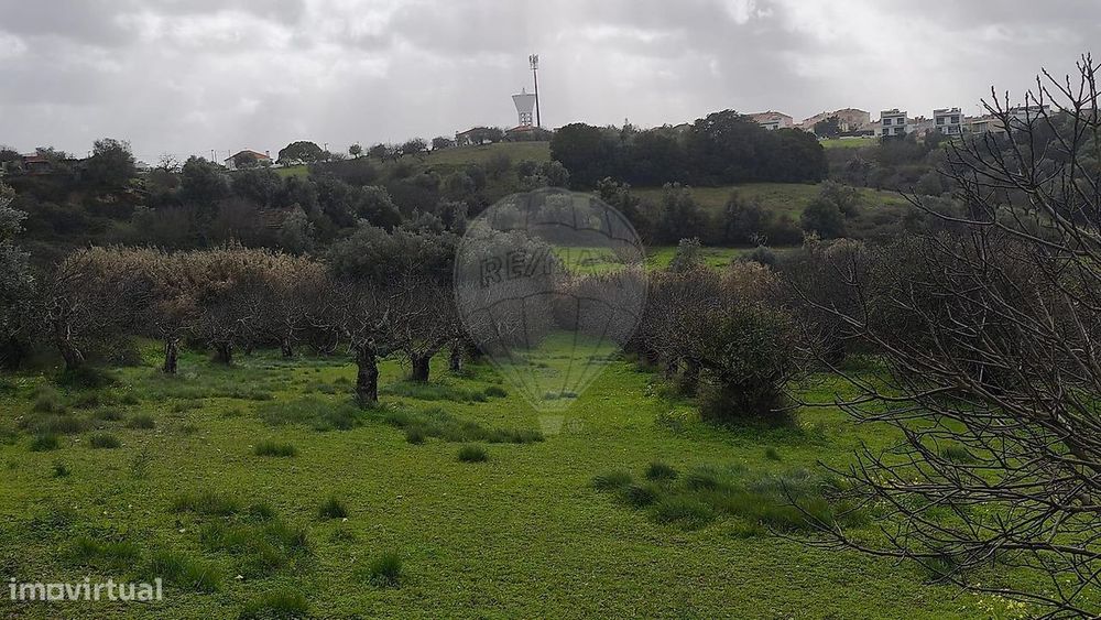 Terreno  para venda