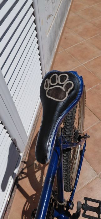 Bicicleta de montanha