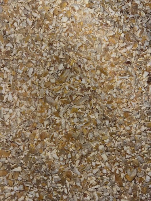 Milho partido campanha 2026