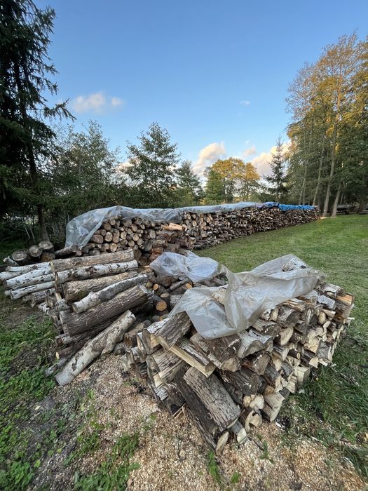 Sprzedam drewno opałowe - liściaste