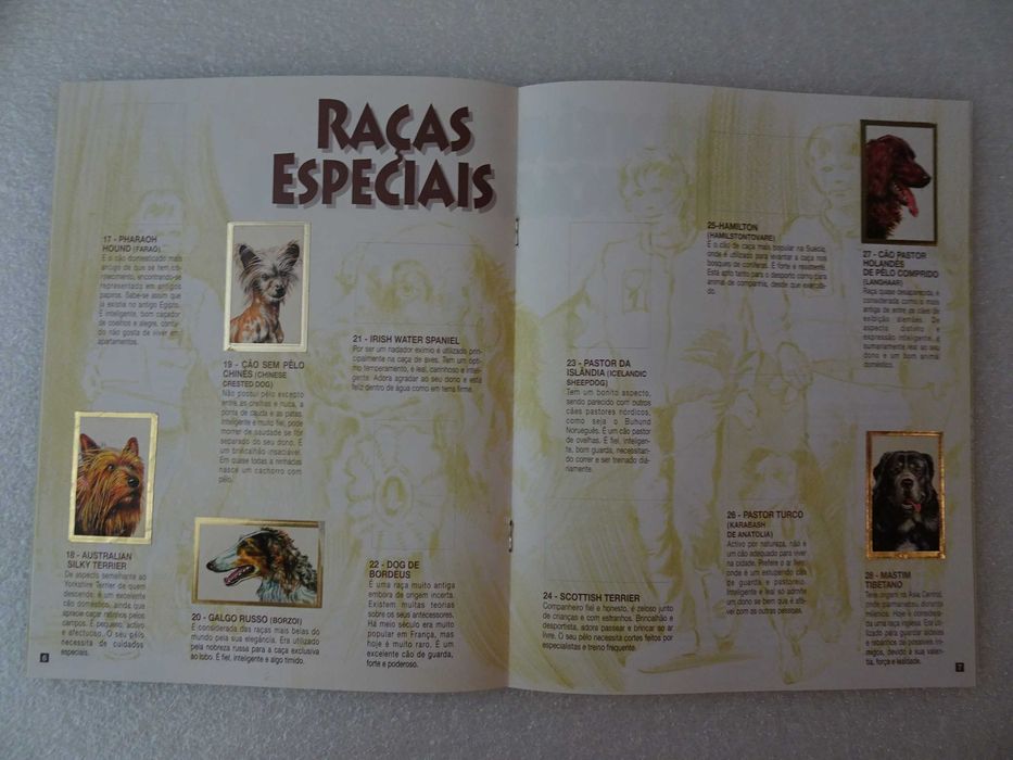 Caderneta cromos incompleta tem 19 cromos Bollycao O teu melhor amigo