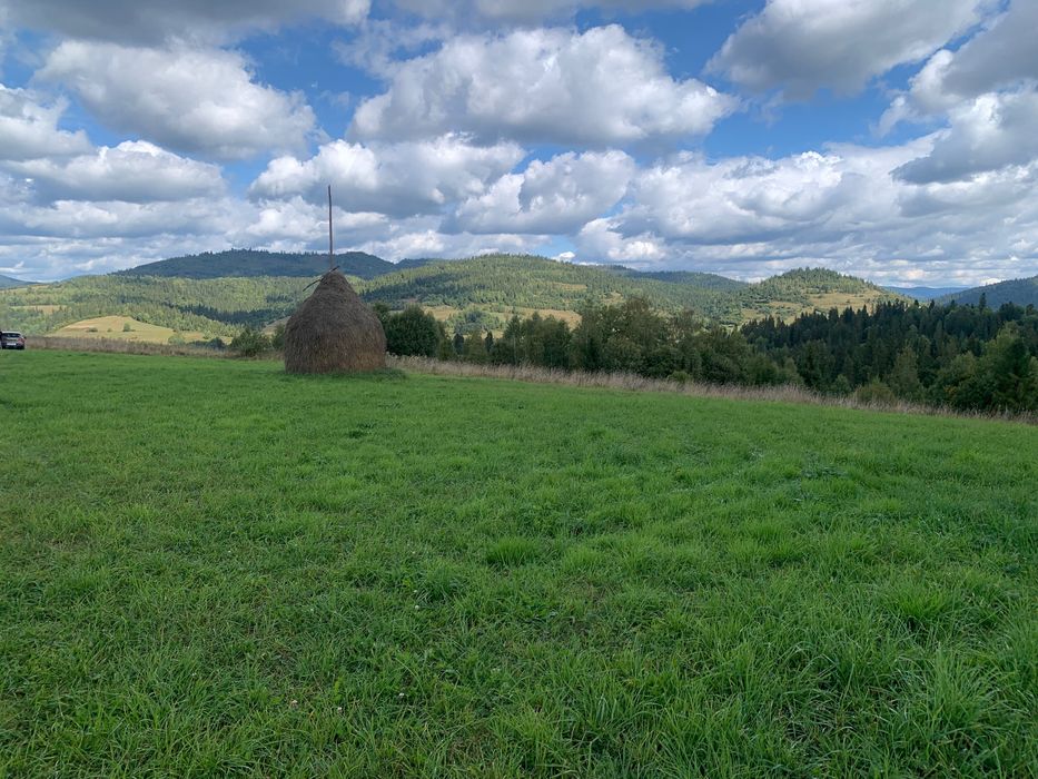 Продаж земельної ділянки, 50 сотих, с. Плавʼя