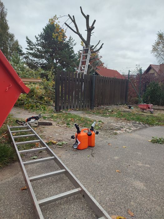 Usługi ogrodnicze /wycinka drzew/koszenie traw