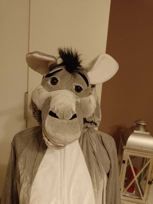 NOWY strój karnawałowy OSIOŁ OSIOŁEK kostium jasełka 122/128 (158)