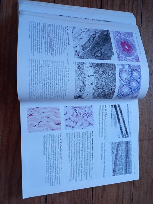 Livros de Histologia, Histopatologia e Imunologia