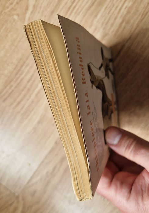 Chłopięce lata Beduina - Isaak Diqs seria DOOKOŁA ŚWIATA