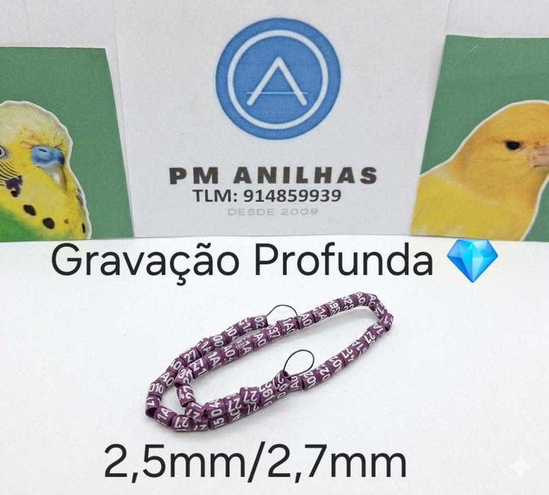 Anilhas para aves